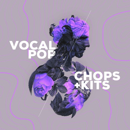Audiomodern Vocal Pop - Expansion for Loopmix (SKU:1161-53:4900)
